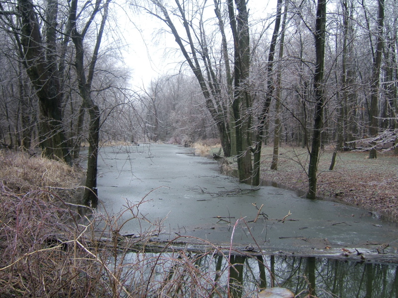 In the late fall