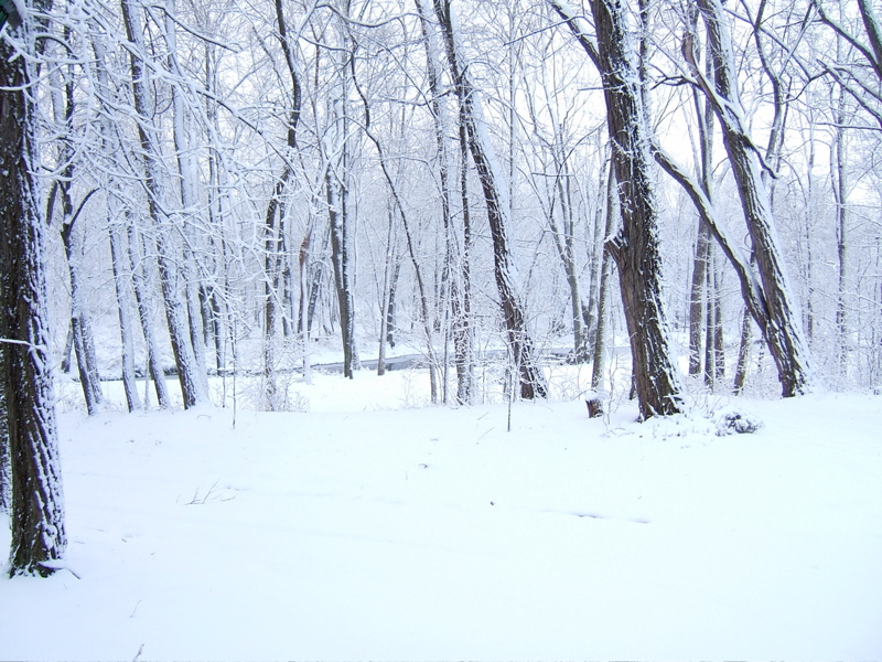 It gets white here