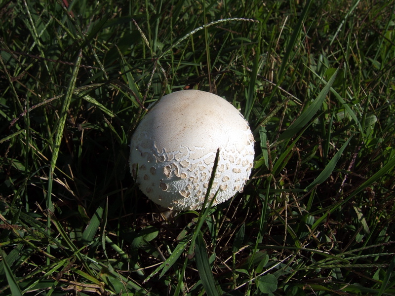 Stuff on the trail