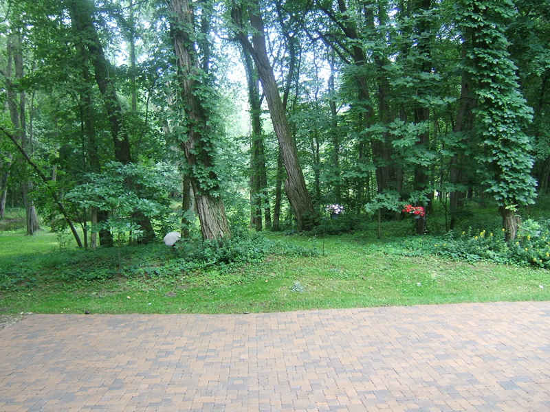 The Woodlands