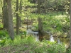 A Creek Runs Through It