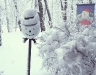 At the holidays