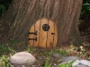 Home Along the Trail