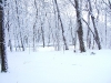 It gets white here