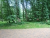 The Woodlands