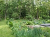 The Backyard Garden