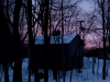 Winter sunrise