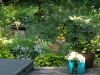 A fawn naps in the garden